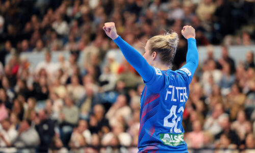 Länderspiel: Deutschland gegen Niederlande in Krefeld