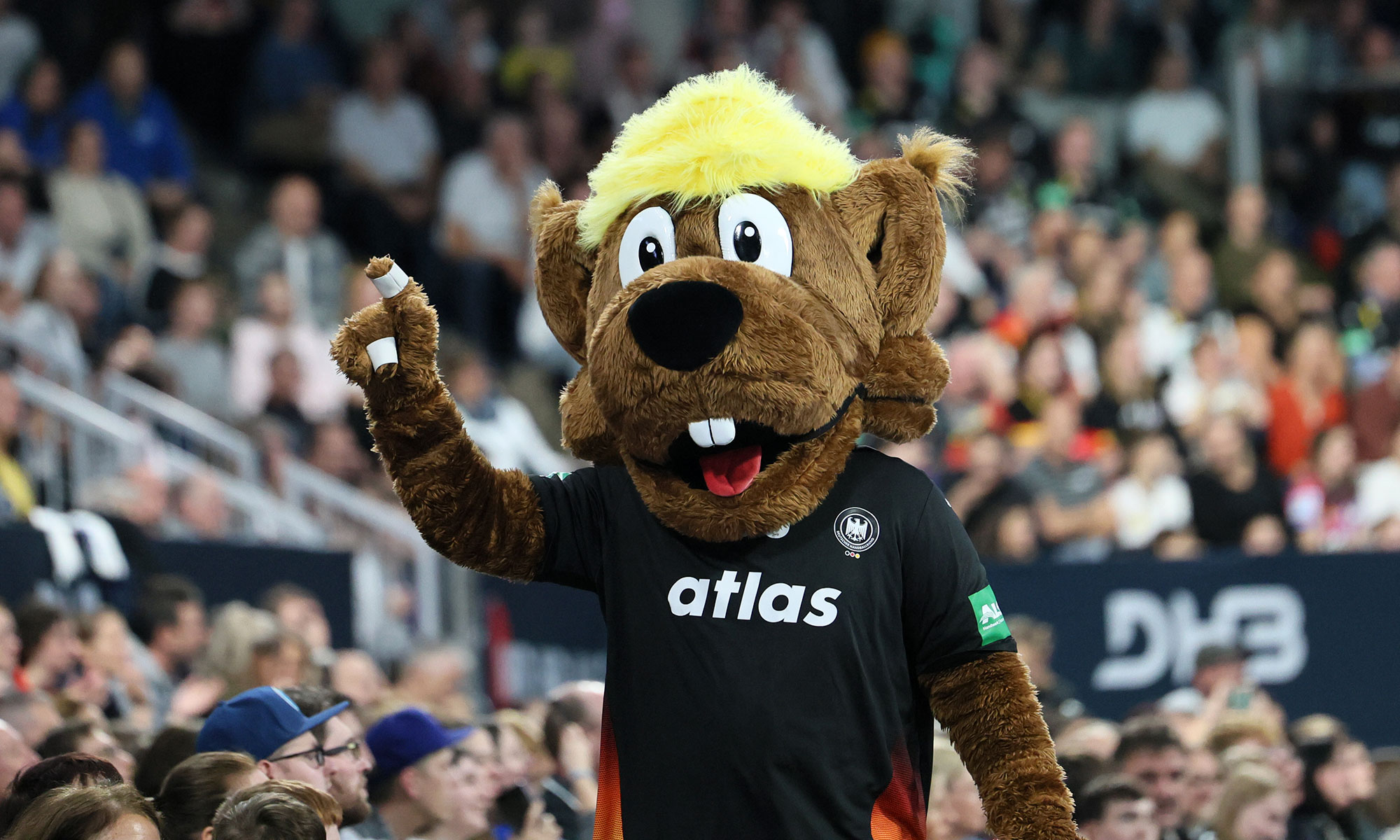 DHB-Maskottchen Hanniball